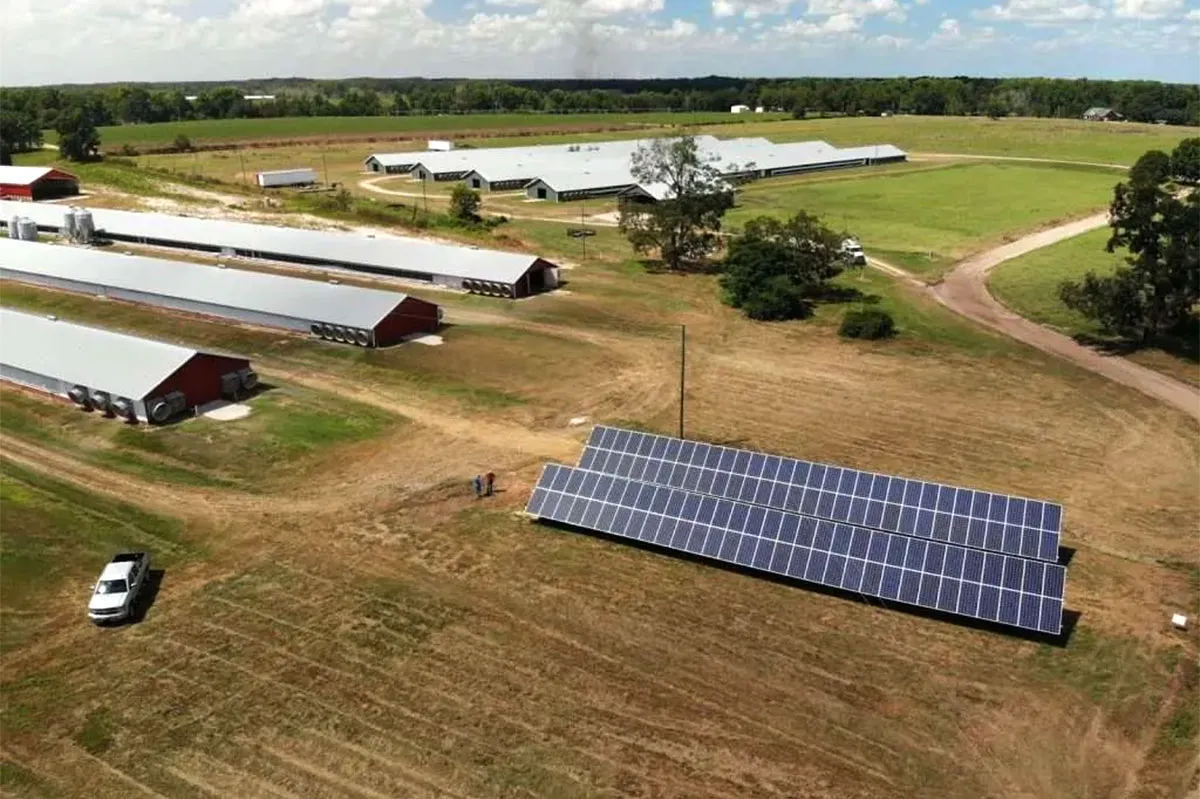 info-1200-799 info-1200-799